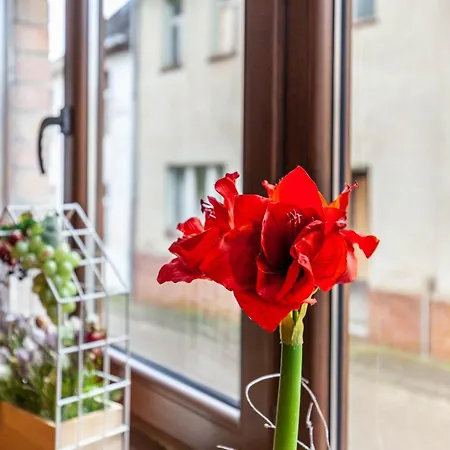 Am Markt Apartment Alsleben
